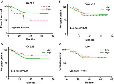CXCL9 as a Prognostic Inflammatory Marker in Early-Stage Lung Adenocarcinoma Patients